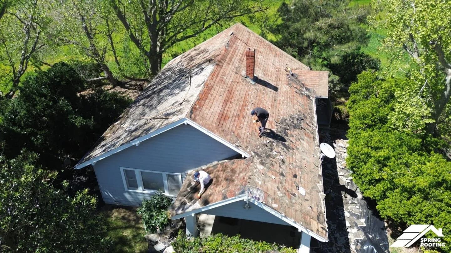 Roof Restoration — 4871 Ryer Rd (3)