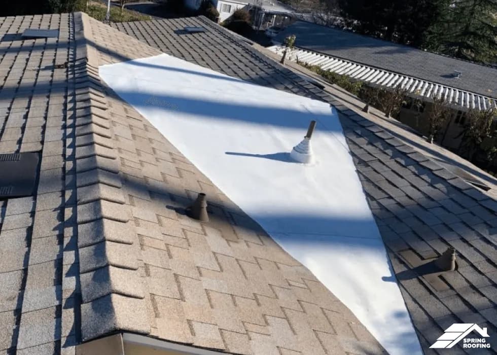 Roof Maintenance — gallery 6