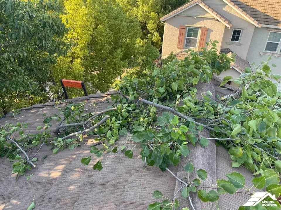 Roof Tail Repair — 71 Seraspi Ct Sacramento (7)